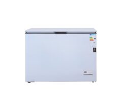 ตู้แช่แข็งฝาทึบ 8.8 Q The  Freezzer FS-FFCM-250